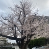 上棟式