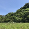 館山近郊の新緑特集！