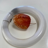劣等感とその補償