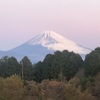 今朝の景色