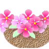 『花祭り』