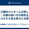 ヒルズ腸内バイオーム犬用レビュー：お腹の弱い子の救世主？口コミから見る実力と注意点