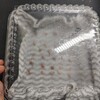 グラキリスの種をまき直す