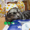 飴ちゃん・アメちゃん