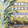  パインアップルとカルピス（Ｒ）で甘酸っぱい味を演出!?　Asahi【CALPIS SODA（カルピスソーダ）冷やしパイン】450ml を飲んでみた‼
