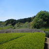 掛川市・菊川市の境