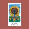 Vision Quest Tarot：Six of Earth