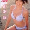 山本梓/アズベリー/フォーサイド・ドット・コム/50分/2004年10月25日発売