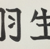 ややこしいけど、今はあちらがメインです。