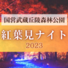 【埼玉・森林公園】紅葉見ナイト2023に行ってきました