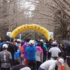 勝田２週間前は１０ｋｍレース