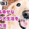 【保存版】快適なシニア犬生活を送る方法