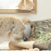 あとは寝るだけ！