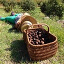 フランスの田舎暮らし