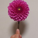 えぐみの花ブログ