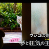 ジブリ、それ自体がファンタジー「夢と狂気の王国」砂田麻美(監督)／2013年