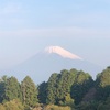 今朝の景色