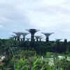 【シンガポール】（SINGAPORE）ガーデンズ・バイ・ザ・ベイ【Gardens by the Bay】