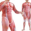 【体のほぐし方】筋肉に対してのアプローチの仕方