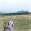孝麗山がうっすらと