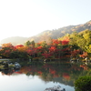 嵐山の人気紅葉スポット「天龍寺」は早朝参拝で混雑回避がおすすめ｜2024年見頃、見どころ、名所、穴場、所要時間、写真（京都府京都市右京区）