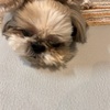ごろごろ～すりすり～もっくん♪