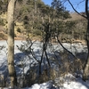 思いがけず雪の山を歩いた（六甲山）