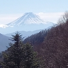 晩秋の柳沢峠