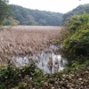 大井堰（千葉県いすみ）