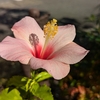 11月だぁ