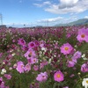 綺麗なモノを見ると　女も男も綺麗になる❣️