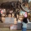 【長居植物園の奥へ！】大阪市立自然史博物館で出会う太古のロマン　【障がい者割引あり】