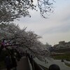 今年の桜あちらこら