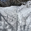 積雪後の蛭ヶ岳登山　～青根からピストン～