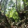 2018年7月14日(土)　[大峰]大天井ヶ岳へ、夏でも涼しい山、のはずが…