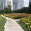 子連れ散歩★浜離宮恩賜庭園