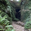 300万年の歴史が物語る神秘の洞窟