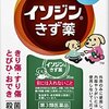 中国に接近する日本維新の会