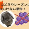うさぎにぶどうやレーズンは禁物！与えてはいけない果物！