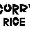 CURRY RICE