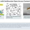 教材で使えるかも：スミソニアン博物館の「Smithsonian Open Access」のコンテンツをRemix