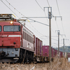 2025/02/15 遅71レ EF81 404号機