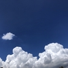 今日も暑くてダラダラしそうな日曜日の朝。