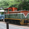 台湾糖業鉄道、阿里山森林鉄路の鉄道写真(Trains of Taiwan Sugar Railways and Alishan Forest Railway, 臺灣糖業鐵路和阿里山林業鐵路，타이완 탕업 철도 도 아리산 삼림 철도)