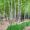 短縮ランと動画の再編集