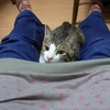 好み