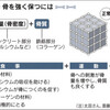 「骨の鉄筋」　コラーゲン守り、骨折を防ぐ 