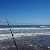秋晴は海へ🎣🐟