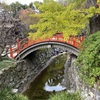 京都1泊旅行　2日目　下鴨神社　河合神社