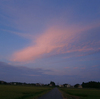 お花見のような空